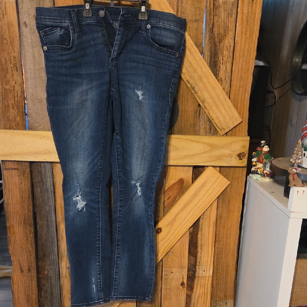 Classic Blue Distressed Skinny Jeans
